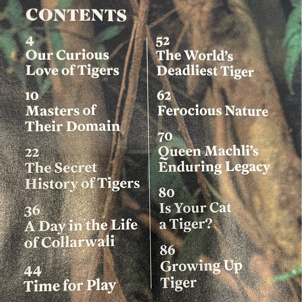 LIFE Magazine: Tigers Edition 2021 - Picture 2 of 3